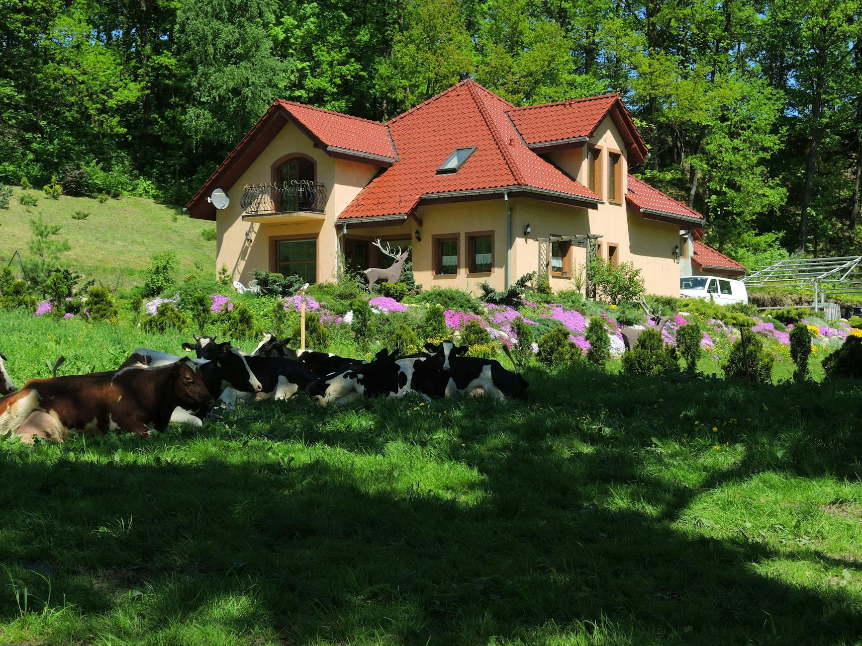 Mapa Jawora z zaznaczonymi obszarami inwestycji finansowanych z Funduszy Europejskich