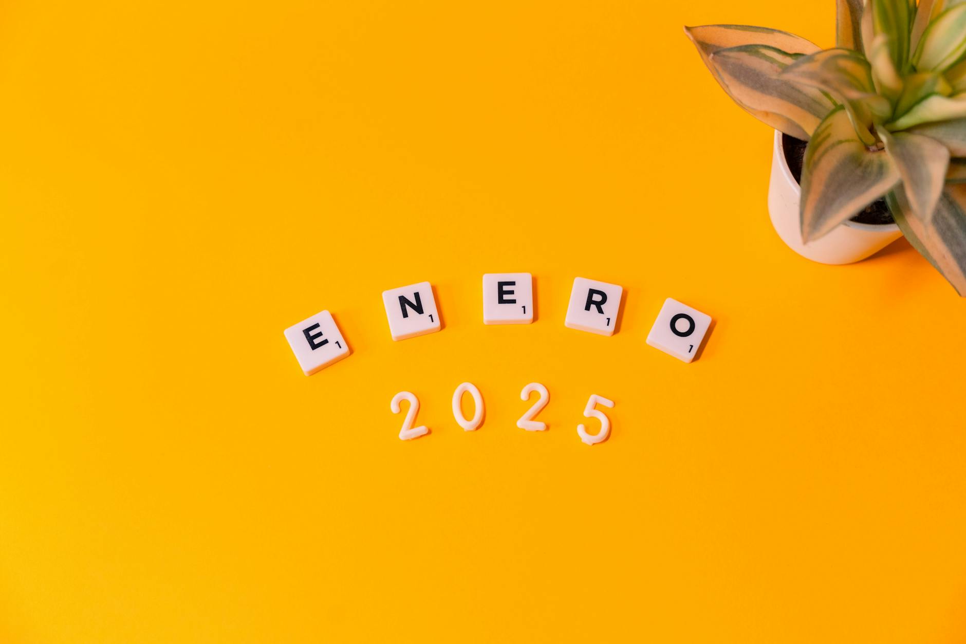 Analiza budżetu Jawor na 2025 rok: dochody, wydatki i priorytety finansowe