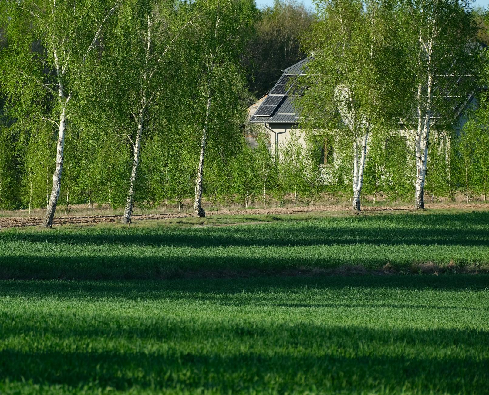 Jawor liderem Zielonych Finansów – miasto z potencjałem dla rozwoju kariery w finansach zrównoważonych